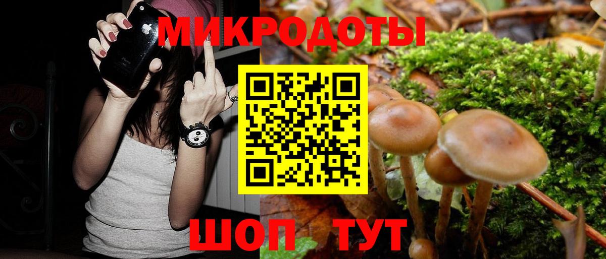Псилоцибиновые грибы GOLDEN TEACHER  Псилоцибиновые грибы мицелий  Вход с VPN  Торжок 