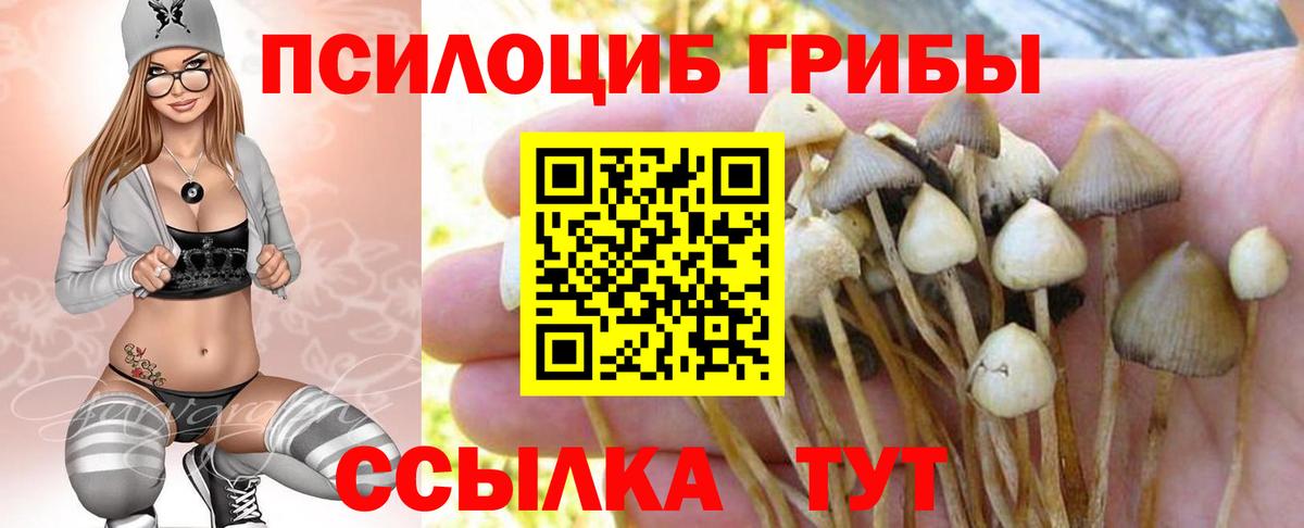 Псилоцибиновые грибы Magic Shrooms Торжок