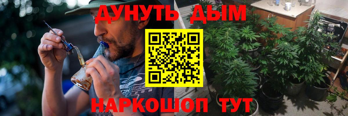 МАРИХУАНА планчик  Каннабис ГИДРОПОН  Марихуана ГИДРОПОН  Вход с VPN  Конопля сатива  Торжок 